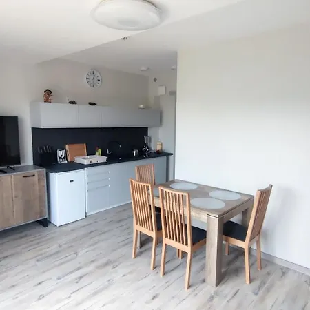Apartament Źródełko Rac REALIZACJA BONU TURYSTYCZNEGO Świeradów-Zdrój Zewnętrze zdjęcie